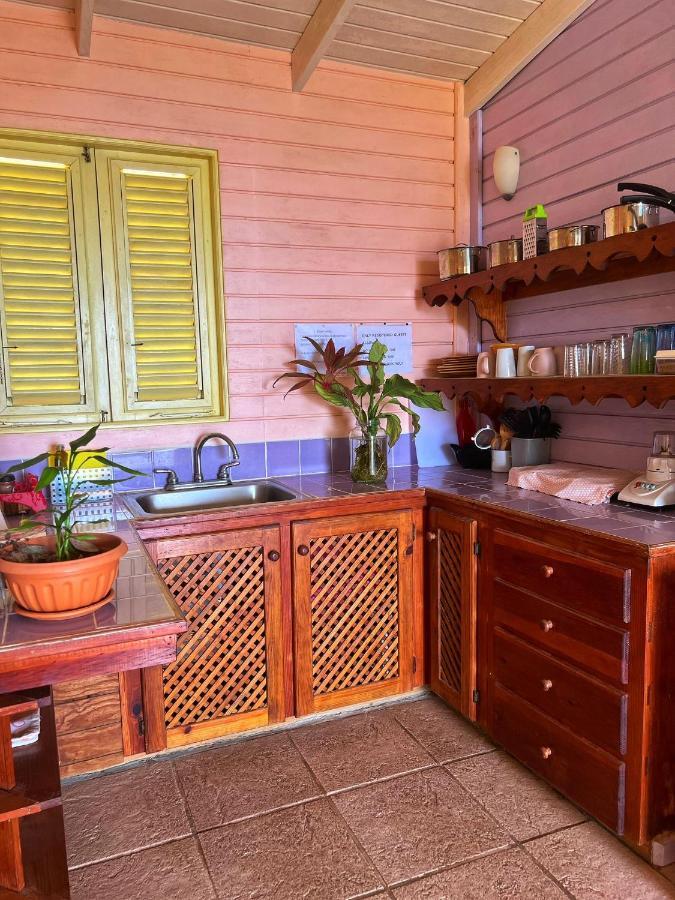Villa Caribbean Dream Vieux Fort Exterior foto