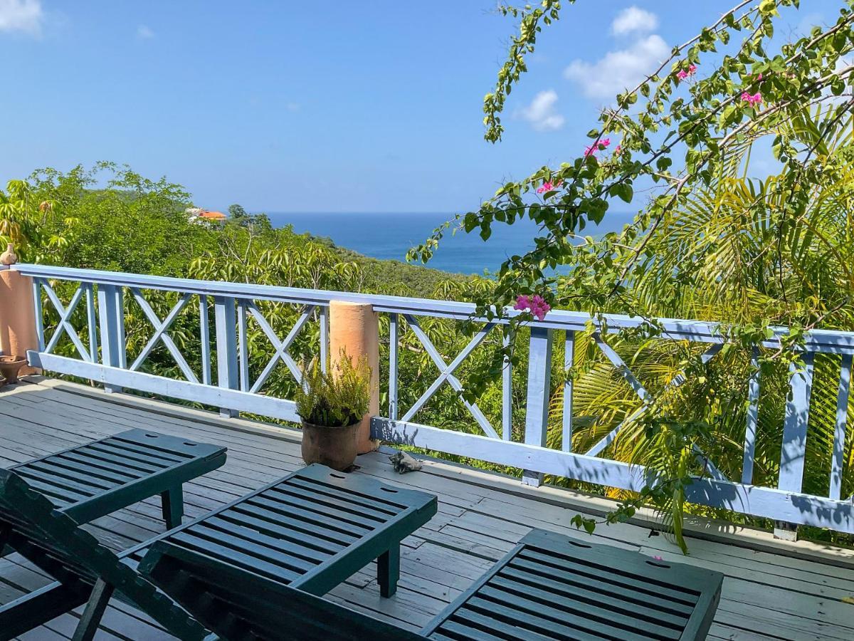 Villa Caribbean Dream Vieux Fort Exterior foto